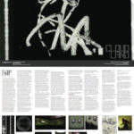 Cloudland_cat_preview