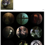 Contemporary Māori Women’s New Media Art Practice